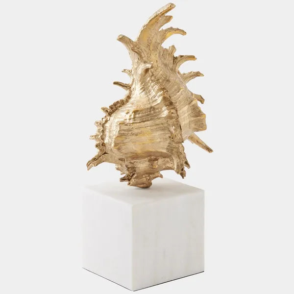 Escultura de caracola Spider Conch, lat¨®n
